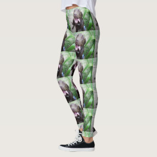 Leggings Goofy Delties : Chocolat Brown Labrador Puppy,