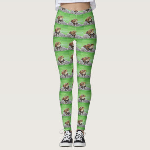 Leggings Grenouille sur un rocher