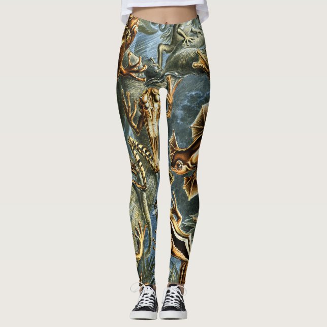 Leggings Grenouilles Batrachia par Ernst Haeckel (Devant)