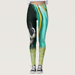 Leggings Guêtres d'art de chien de Boston Terrier d'agilit