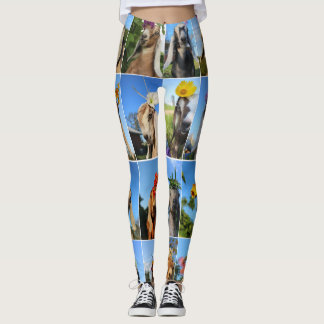 Leggings Guêtres de chèvre de bébé