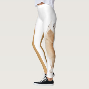Leggings Guêtres de corgi--Festins rusés