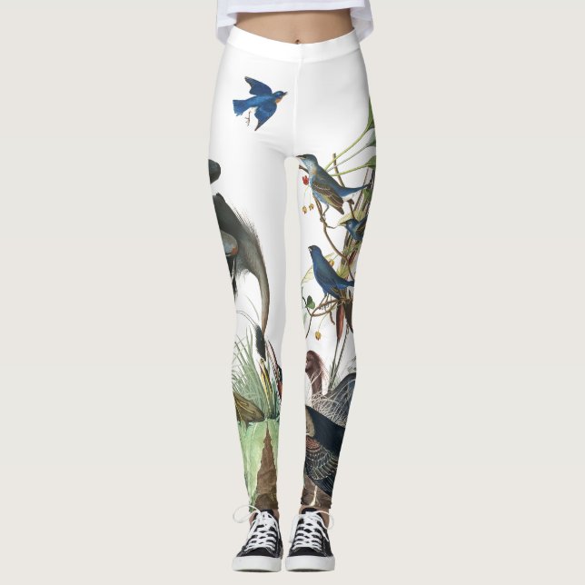 Leggings Guêtres d'impression de faune d'oiseaux d'Audubon (Devant)