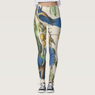 Leggings Guêtres d'impression d'oiseaux de geai bleu