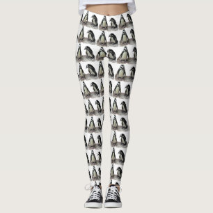 Leggings Guêtres noires et blanches d'animal d'oiseaux de