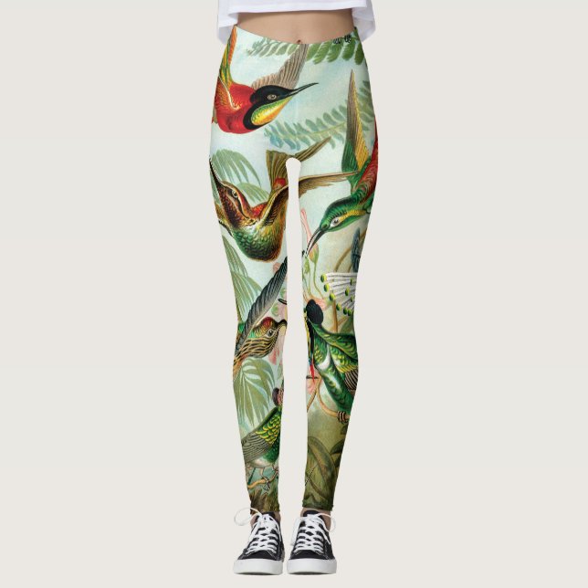 Leggings Hummingbirds par Ernst Haeckel (Devant)