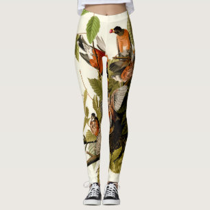Leggings Illustration Audubon American Robin Wildlife Bird