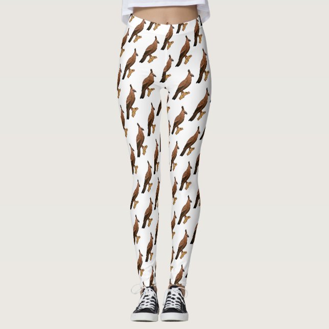 Leggings Illustration de l'aigle à faucon de Javan (Devant)