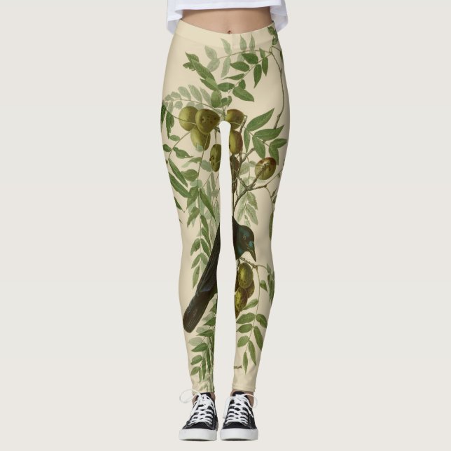 Leggings Impression d'oiseau Grackle violet d'Audubon Botan (Devant)
