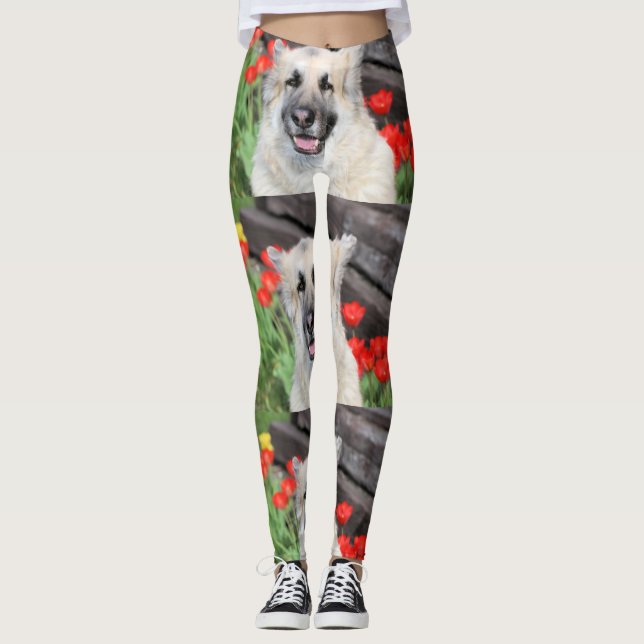 Leggings Joli GSD (Devant)