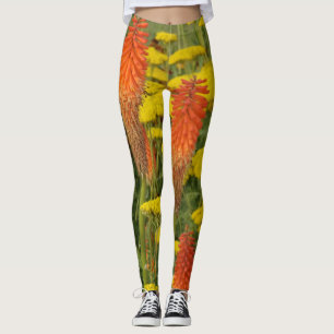 Leggings Kniphofia Uvaria Orange Fleurs Leger