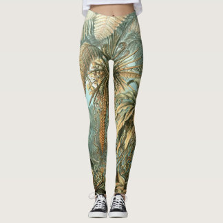 Leggings Kunstformen der Natur, Filicinae - Ernst Haeckel