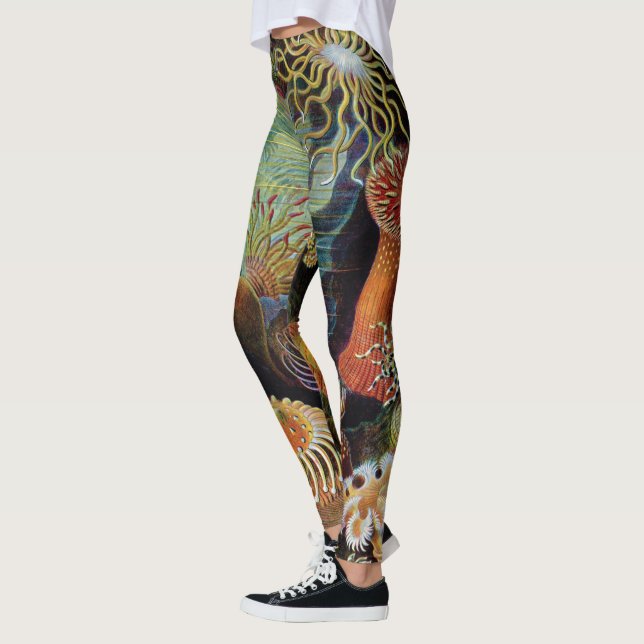 Leggings L'art de la nature par Ernst Haeckel (Gauche)