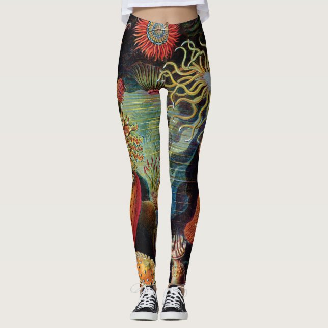 Leggings L'art de la nature par Ernst Haeckel (Devant)