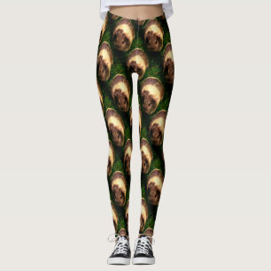 Leggings Le cochon de Guinée Agouti dans l'herbe