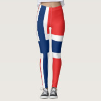 Le drapeau de la Norvège sur toute sa surface