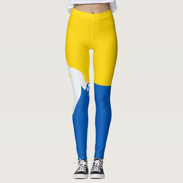 Leggings Le drapeau ukrainien paix dans le monde (Devant)