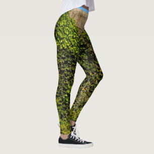 Leggings Le lierre a couvert le mur en pierre de guêtres d