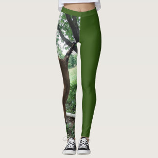 Leggings Légendes de chèvre cupides