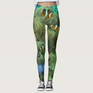 Leggings Légumineuses de poissons clowns