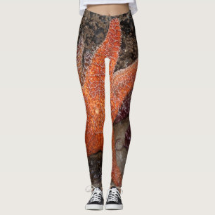 Leggings Les étoiles de mer/étoiles de mer dans le canon
