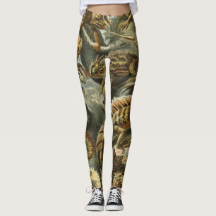 Leggings Lézards par Ernst Haeckel Vintage Lacertilia Anima