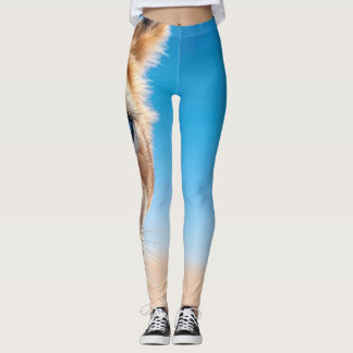 Leggings Lion aux yeux bleus intenses sur fond de désert -