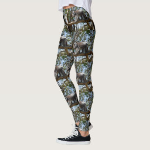 Leggings L'Ours Wild Koala Marche Sur Une Branche D'Arbre,