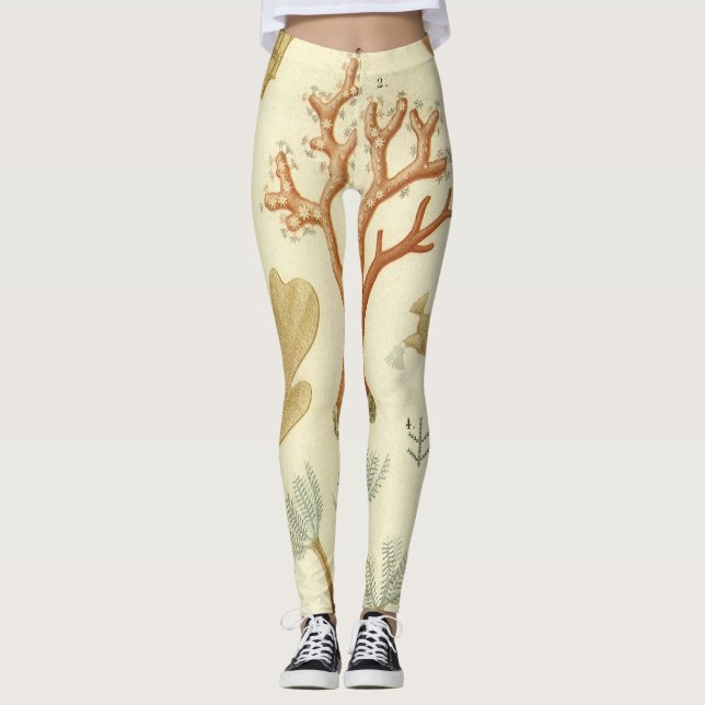 Leggings Manuel de sciences Biologie, Animaux de corail vin (Devant)