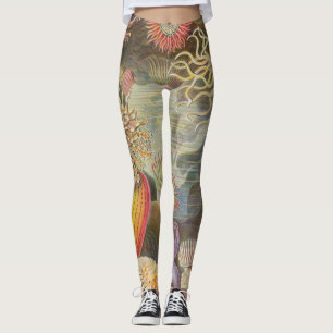 Leggings Mer Anenomes par Ernst Haeckel