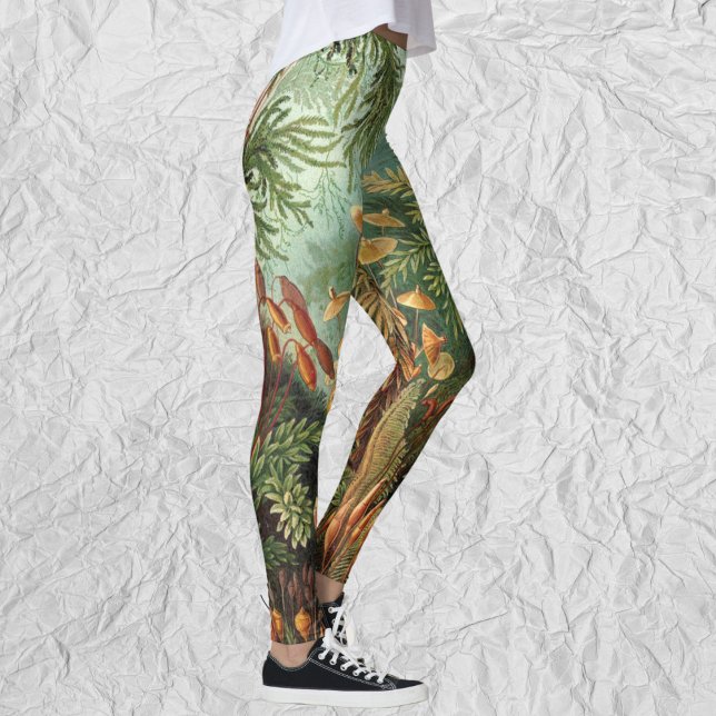 Leggings Muscinae vintage, Plantes de la mousse par Ernst H (Vintage Muscinae, Moss Plants by Ernst Haeckel Leggings)