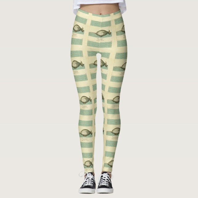Leggings Narwhal Antique Baleine Aquarelle Art scientifique (Devant)
