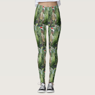 Leggings Noël T-Rex
