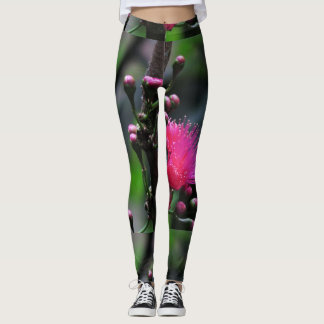 Leggings Ohio rose