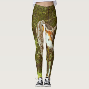 Leggings okapi