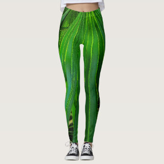 Leggings Palmetto de scie VERTE