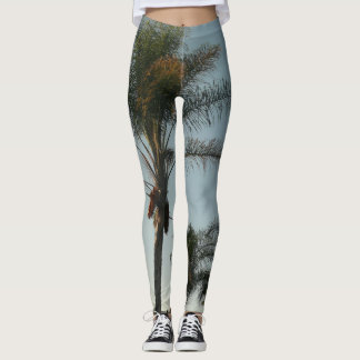 Leggings palmiers tropicaux dattiers contre ciel azur