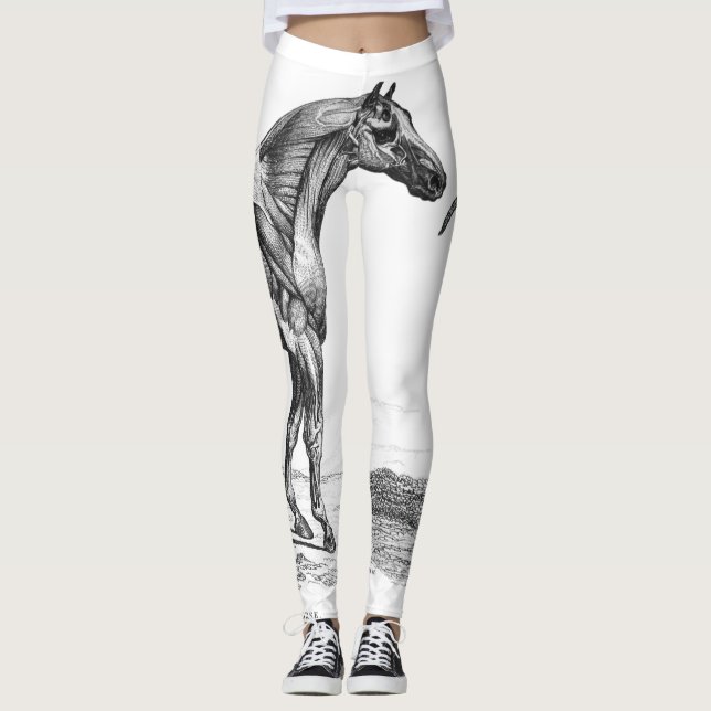 Leggings Rétro image d'anatomie de muscle de cheval (Devant)