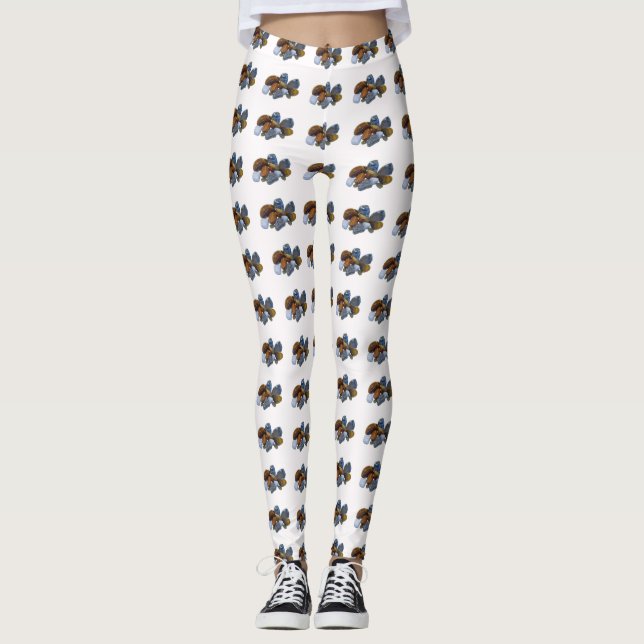 Leggings Roches polies (Devant)