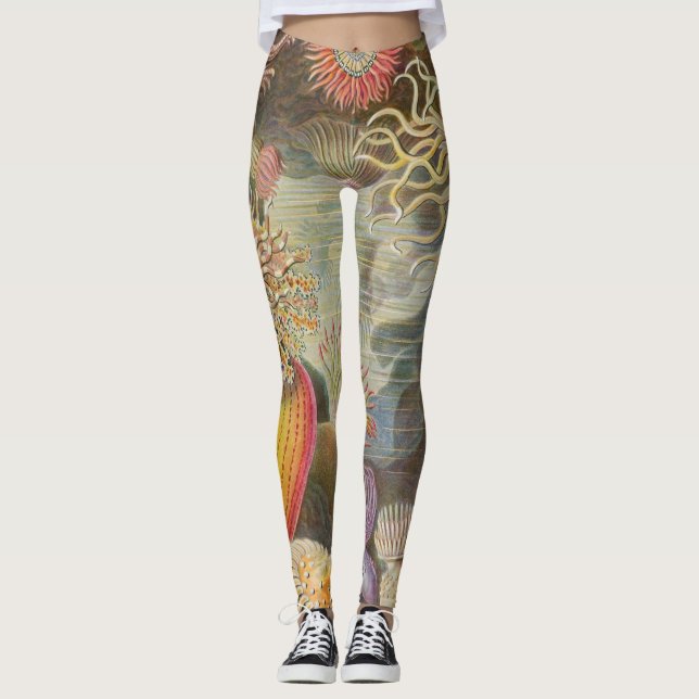 Leggings Sea Anenomes par Ernst Haeckel (Devant)