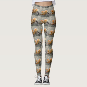 Leggings Tabourets sur une jambe de tronc d'arbre