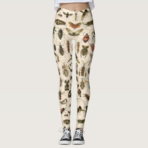Leggings Taxonomie colorée vintage d'entomologie d'insecte