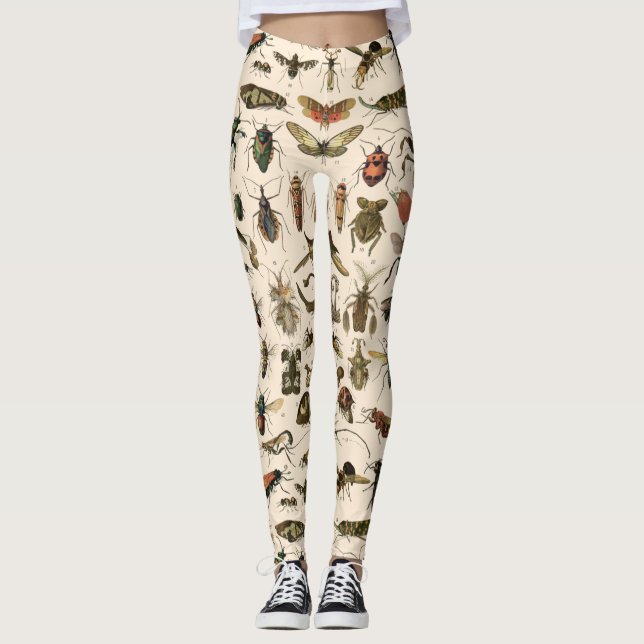 Leggings Taxonomie colorée vintage d'entomologie d'insectes (Devant)