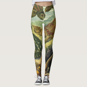 Leggings Tortues vintages et tortues de mer par Ernst Haeck