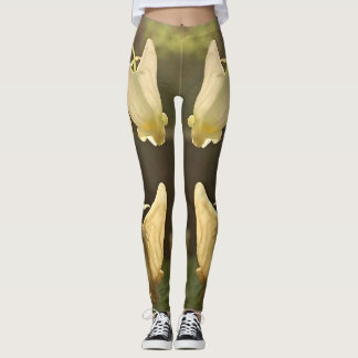 Leggings YouYou Dutchmens enculasse des guêtres