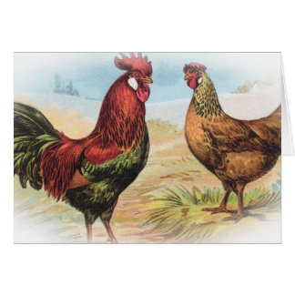 Leghorn