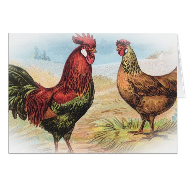 Leghorn (Devant horizontal)