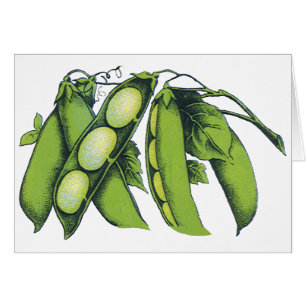 Légumes Anciens; Haricots de Lima, Aliments de Fer