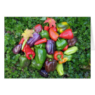 Légumes colorés et Feuilles de l'érable