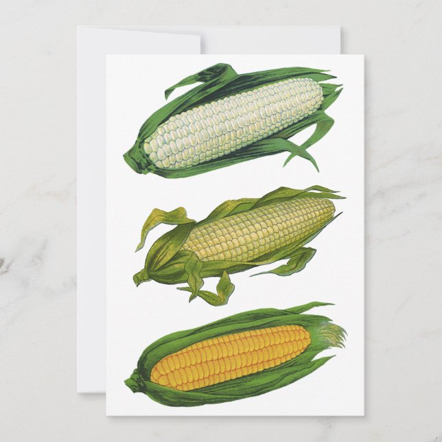 Légumes sains de nourriture vintage, maïs frais su (Devant)